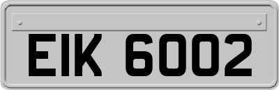 EIK6002