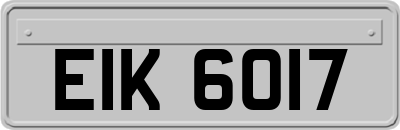 EIK6017