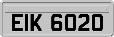 EIK6020