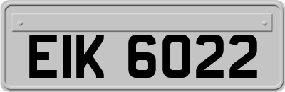 EIK6022