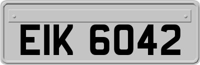EIK6042