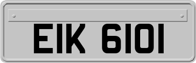 EIK6101