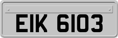 EIK6103
