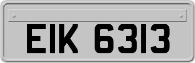 EIK6313