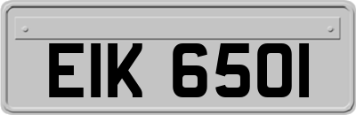 EIK6501