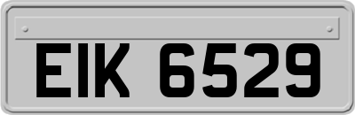 EIK6529
