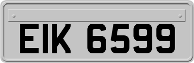EIK6599