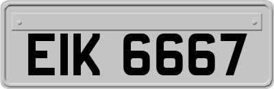 EIK6667