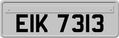 EIK7313
