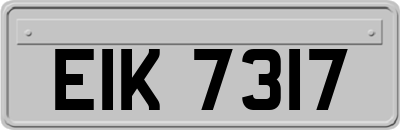 EIK7317
