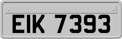 EIK7393