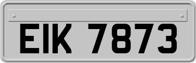 EIK7873