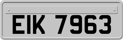 EIK7963