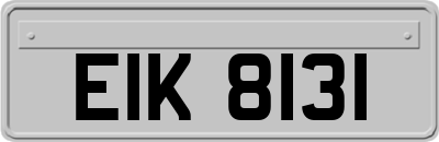 EIK8131