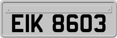 EIK8603