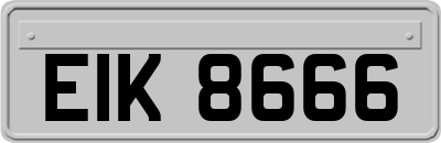 EIK8666