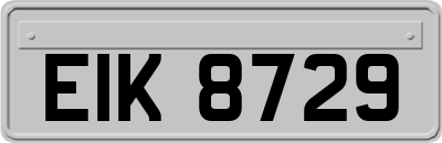 EIK8729