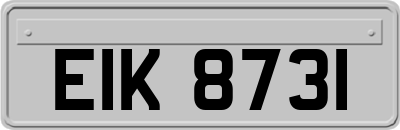 EIK8731