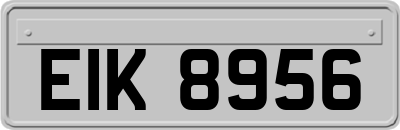 EIK8956
