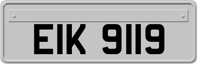 EIK9119