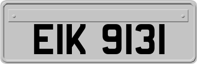 EIK9131
