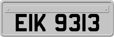 EIK9313