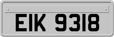 EIK9318