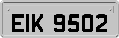 EIK9502