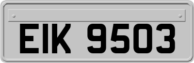EIK9503