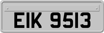 EIK9513