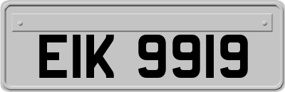 EIK9919