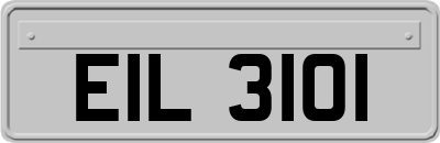 EIL3101