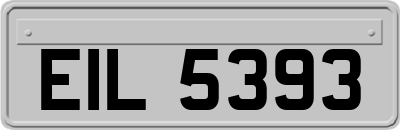 EIL5393