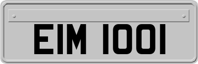 EIM1001