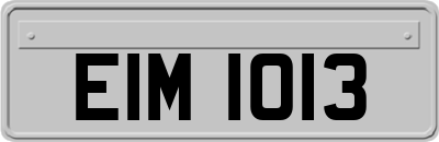 EIM1013
