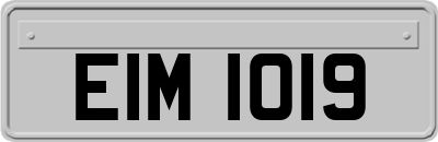 EIM1019