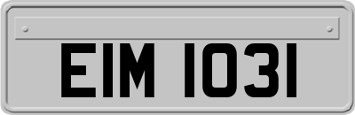 EIM1031