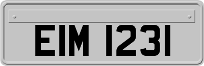 EIM1231