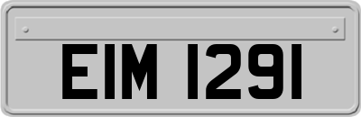 EIM1291