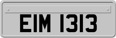 EIM1313