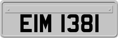 EIM1381