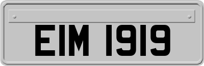 EIM1919