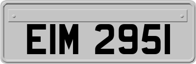 EIM2951