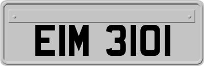 EIM3101