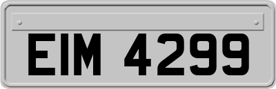 EIM4299