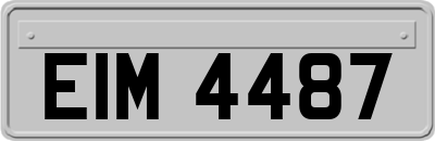 EIM4487