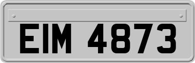 EIM4873