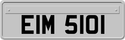 EIM5101