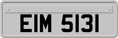 EIM5131