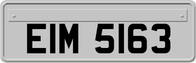 EIM5163
